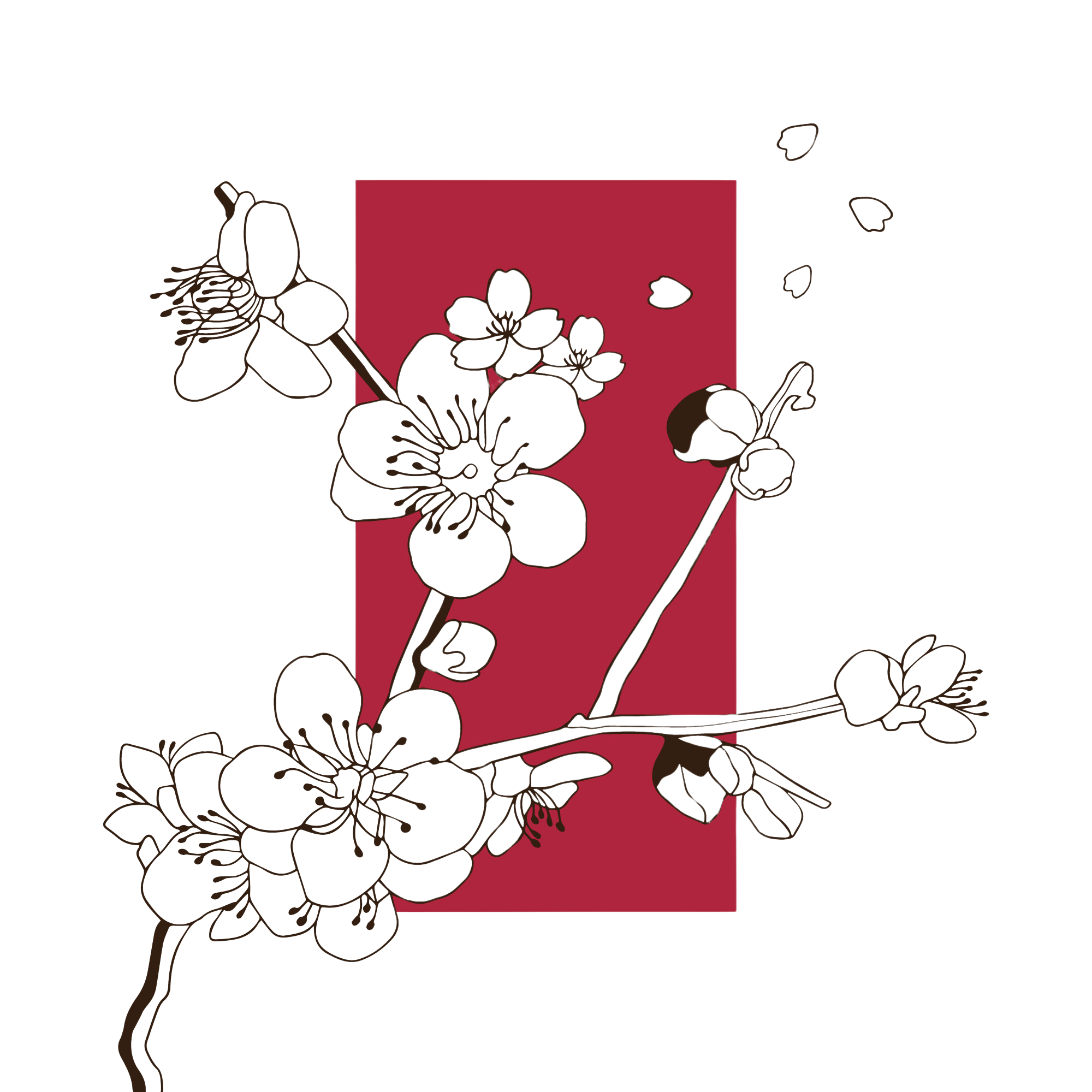 À propos illustration japonaise dessinee branche fleurs cerisier