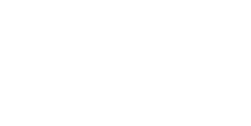 logo tiphaine couny blanc transparent